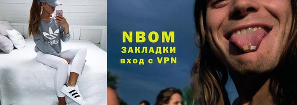 ГАЛЛЮЦИНОГЕННЫЕ ГРИБЫ Новозыбков