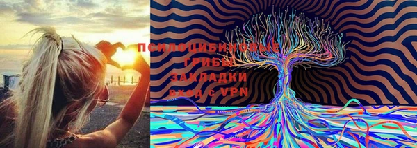 мефедрон Новодвинск