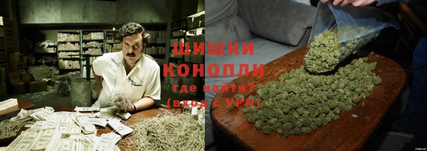 ГАЛЛЮЦИНОГЕННЫЕ ГРИБЫ Новозыбков