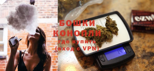 ГАЛЛЮЦИНОГЕННЫЕ ГРИБЫ Новозыбков
