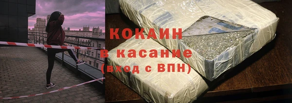 ГАЛЛЮЦИНОГЕННЫЕ ГРИБЫ Новозыбков
