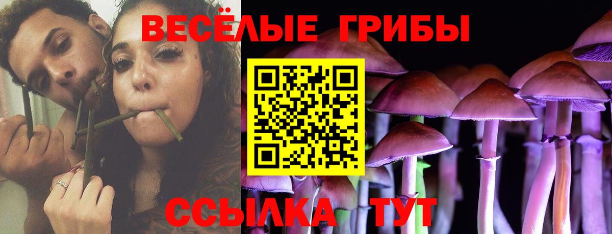 Галлюциногенные грибы Cubensis Краснокамск